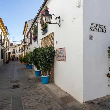 Flores De San Basilio Cordoue