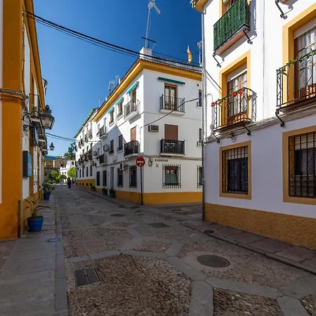 Flores De San Basilio Cordoue