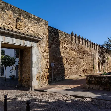 Cozy Retreat With Patio Steps From Alcazar アパート